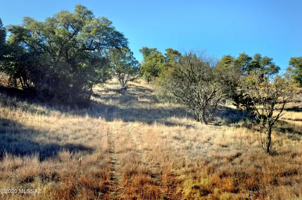 Sonoita, AZ 85637,Lot 4 Franklin Lane #.