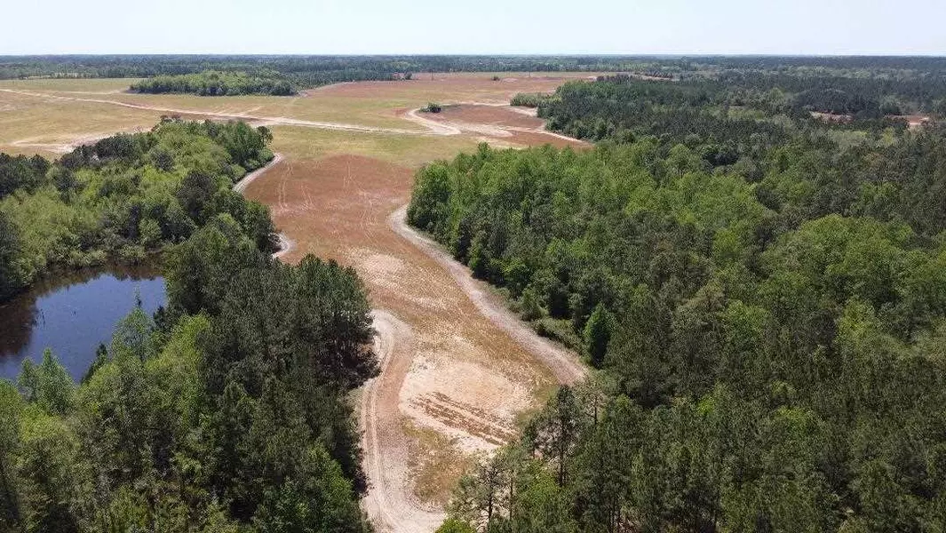 295 Daisy Rd  (145 +/- Acres) Road, Other Georgia, GA 31750-0428