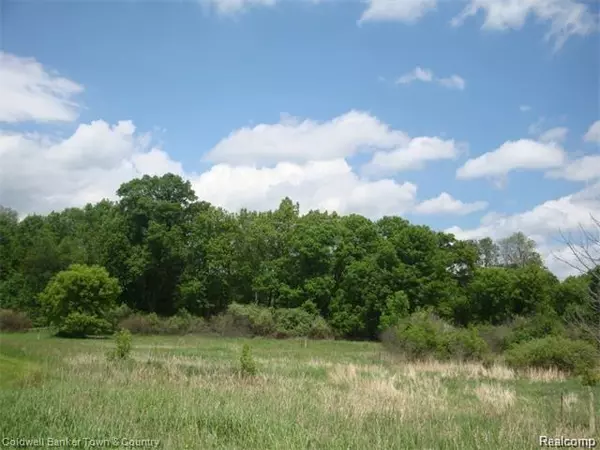 Milford Twp, MI 48381,Lot 20 Hickory Ridge TRL