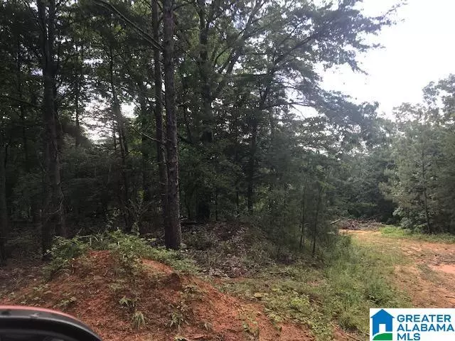 Vance, AL 35490,MOUNTAIN VIEW #LOT 10