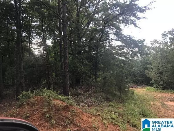 MOUNTAIN VIEW #LOT 10, Vance, AL 35490