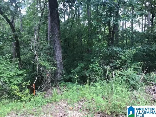 Vance, AL 35490,MOUNTAIN VIEW #LOT 10