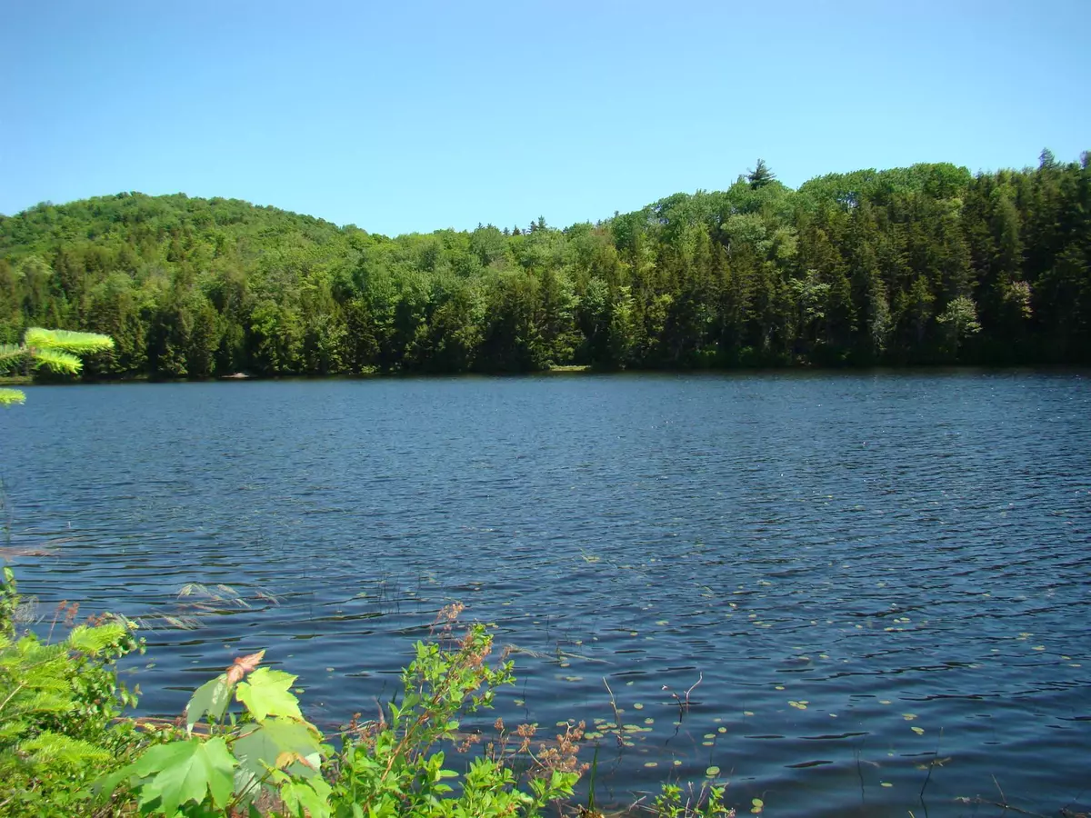 Whitingham, VT 05361,0 Parsons RD #A & B (Laurel Lake)