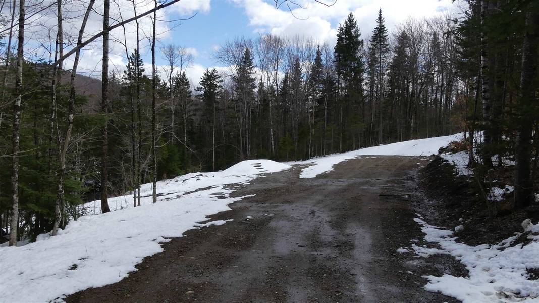 66 Cheney Brook Loop RD, Dover, VT 05356