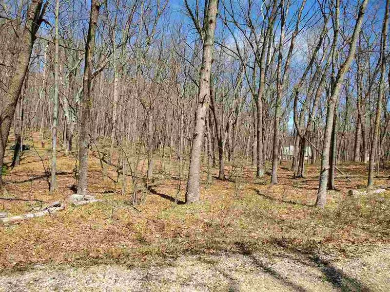 Lot 160 Evergreen Lane, Farwell, MI 48622