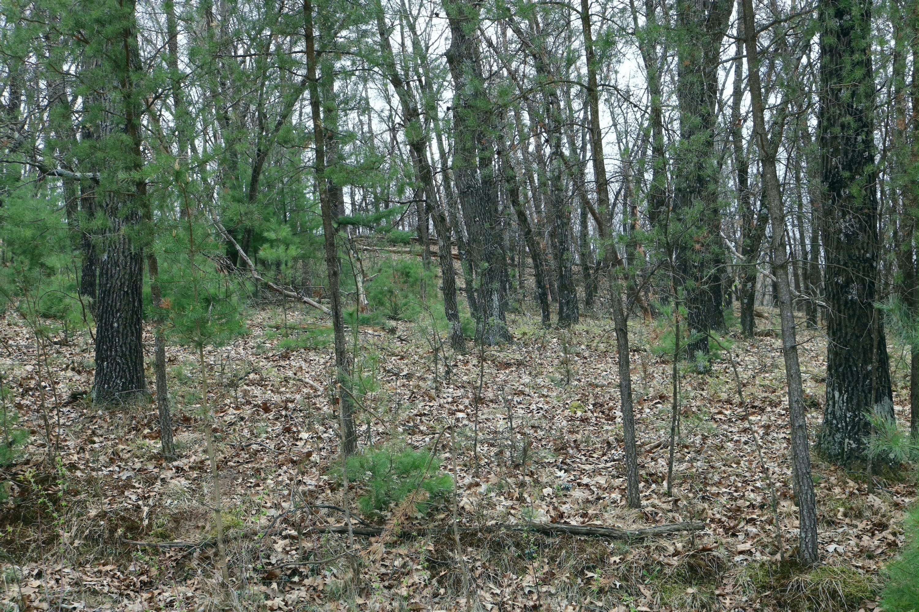 LOT 11 Jargon Ave, Wells, WI 54656