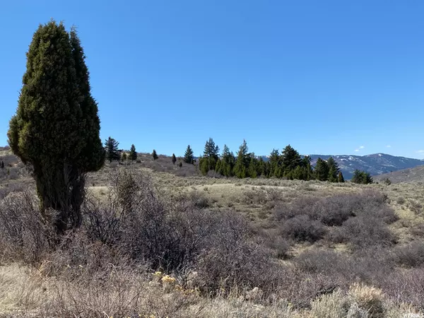 Soda Springs, ID 83276,29 CARIBOU RD #29