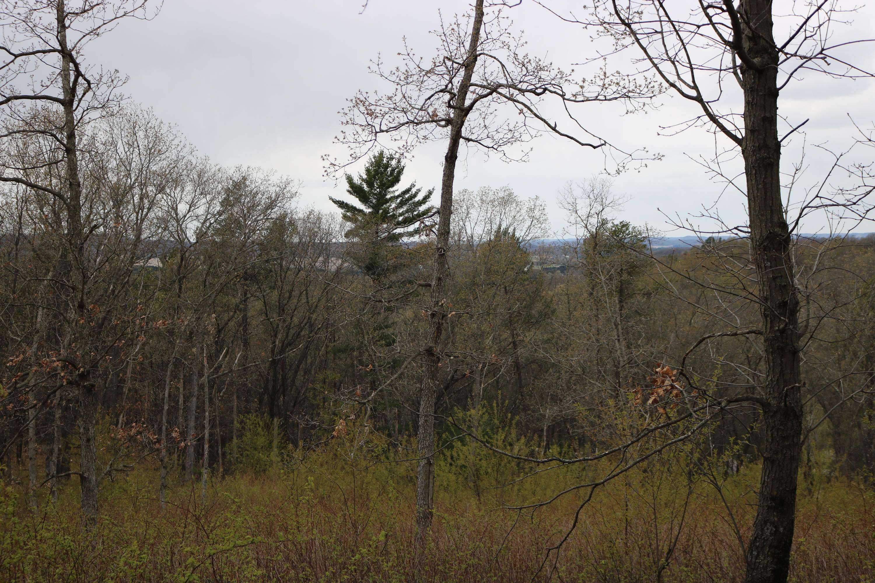 Lot 12 Jargon Ave, Wells, WI 54656
