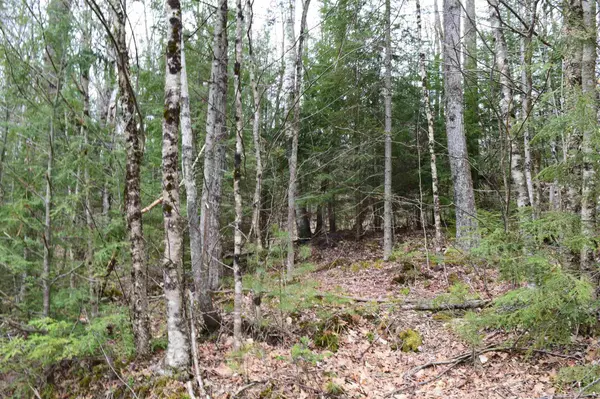 Lot 114 Bear RD, Haverhill, NH 03765