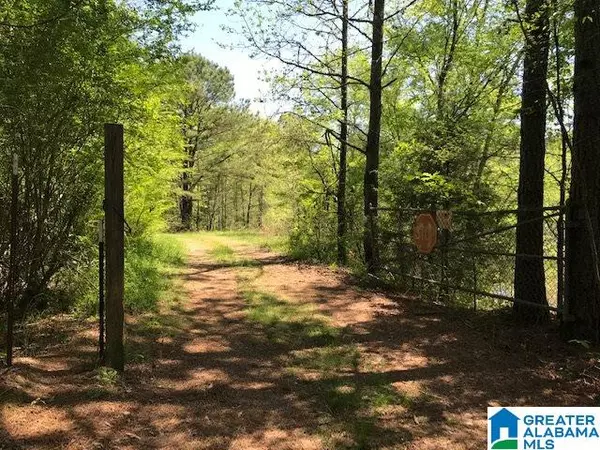 Ragland, AL 35131,0 BASS ROAD #Lot A-16