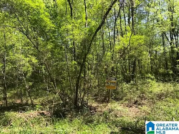 Ragland, AL 35131,0 BASS ROAD #Lot A-16