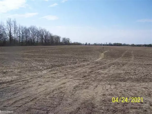 Riley Twp, MI 48041,LAMBS RD VACANT LOT A