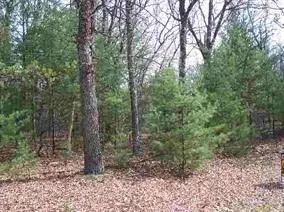 L26 & L27 S CZECH DR PV, Friendship, WI 53934