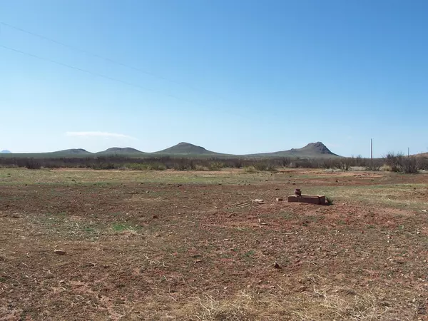 Pearce, AZ 85625,39.88 ac E Buck Ranch Road #63