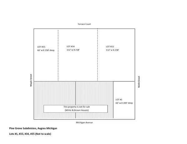 Lots 1, 33, 34, 35 E Michigan Ave Pine Grove Sub, Au Gres, MI 48703