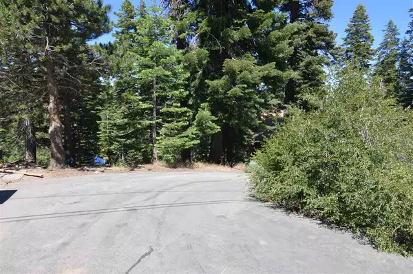 Truckee, CA 96161,14234 Hansel Avenue