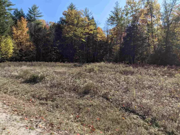 Webster, NH 03303,Lot 49 Blackberry LN