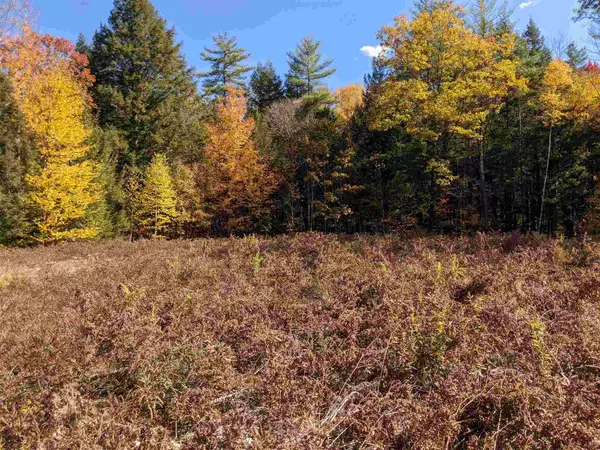 Webster, NH 03303,Lot 49 Blackberry LN