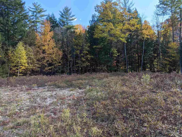 Webster, NH 03303,Lot 49 Blackberry LN