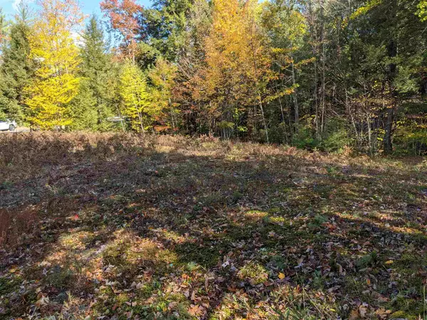 Webster, NH 03303,Lot 49 Blackberry LN