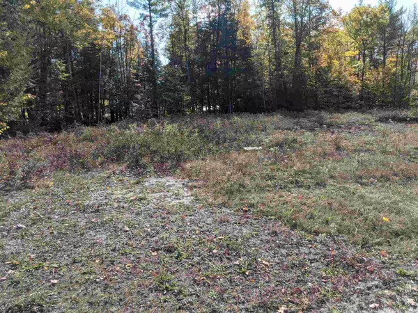 Webster, NH 03303,Lot 49-7 Blackberry LN