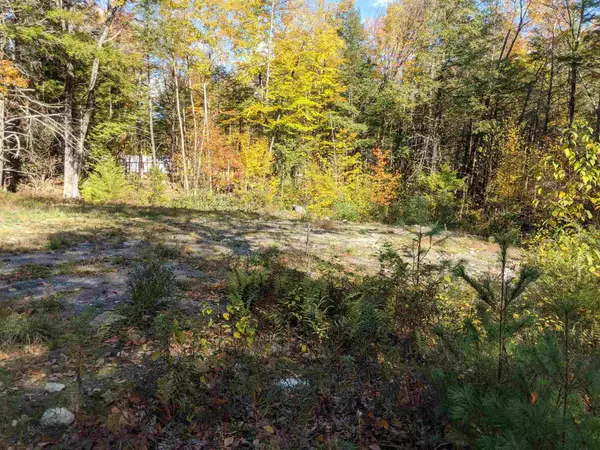 Webster, NH 03303,Lot 49-7 Blackberry LN