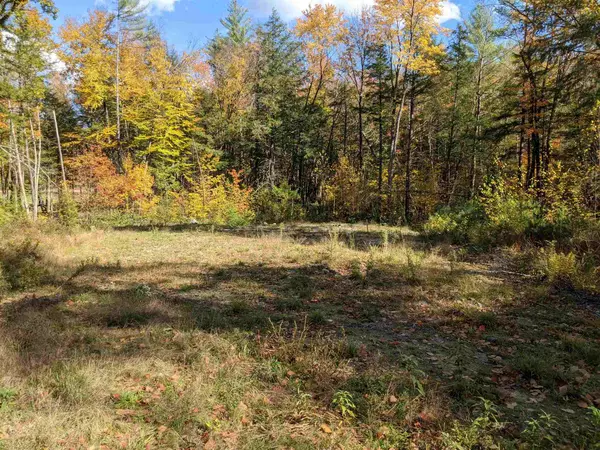 Webster, NH 03303,Lot 49-7 Blackberry LN