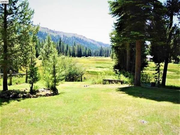 864 Snowflake Avenue, Taylorsville, CA 95983