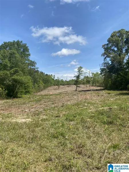 0 COUNTY ROAD 20 #5 Ac, Roanoke, AL 36274