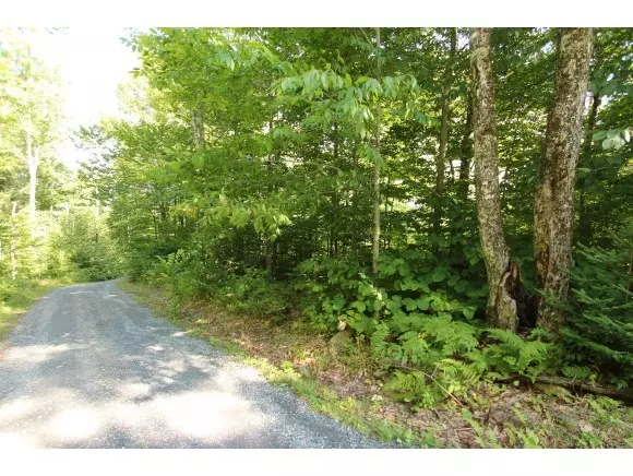 Duxbury, VT 05676,633 South Richardson Rd