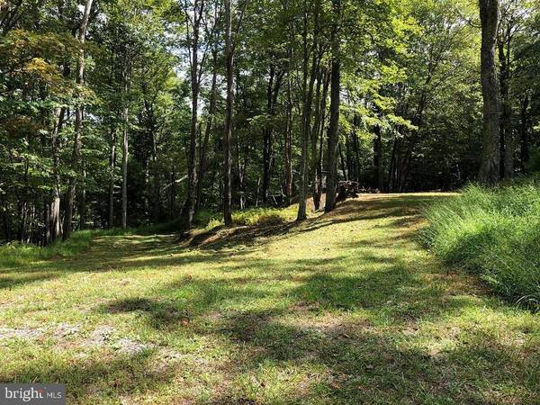 LOT #32 NATIVE TROUT DRIVE, Sugar Grove, WV 26815