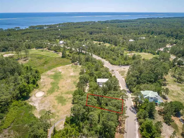 Carrabelle, FL 32322,262 Royal Tern Way