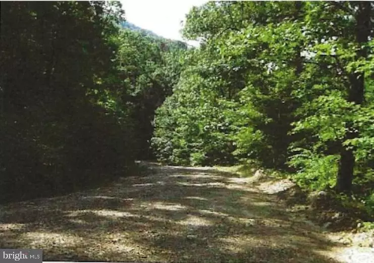 TRACT 9 & 12 KESSEL WAY, Great Cacapon, WV 25422