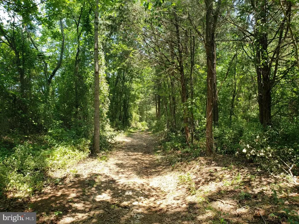 Amissville, VA 20106,HERMAN JUDY LANE