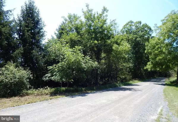 Gore, VA 22637,FLETCHER RD, LOT 3