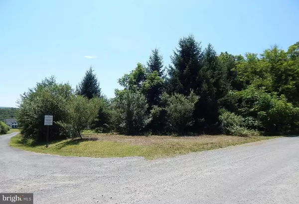 Gore, VA 22637,FLETCHER RD, LOT 3