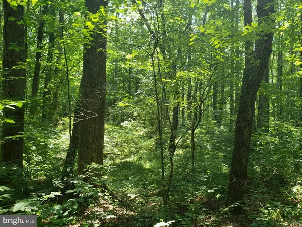 Amissville, VA 20106,HERMAN JUDY LANE