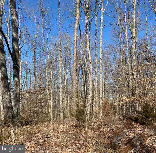 Midland, VA 22728,LOT 5 BRISTERSBURG RD