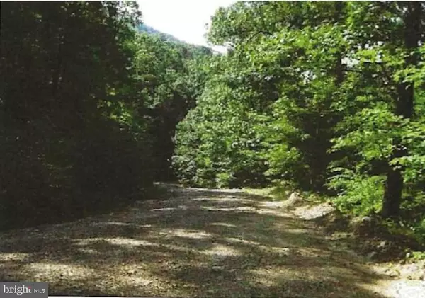 Great Cacapon, WV 25422,TRACT 9 & 12 KESSEL WAY