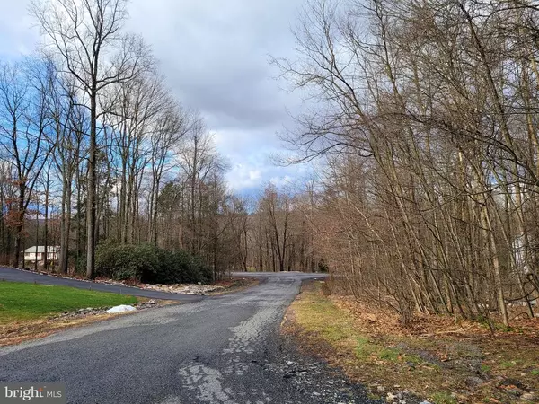 New Ringgold, PA 17960,0 WHITETAIL CIR