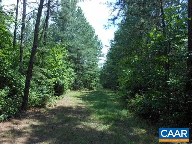 Shipman, VA 22971,LOT 14 LOBLOLLY CT CT #14