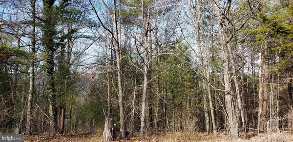 SUPINLICK RIDGE, Basye, VA 22810