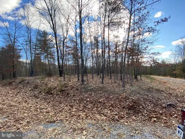 LOT 31 SLATE ROCK PASS, Wardensville, WV 26851