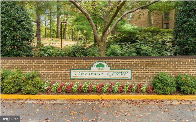 Reston, VA 20190,11236 CHESTNUT GROVE SQ #363