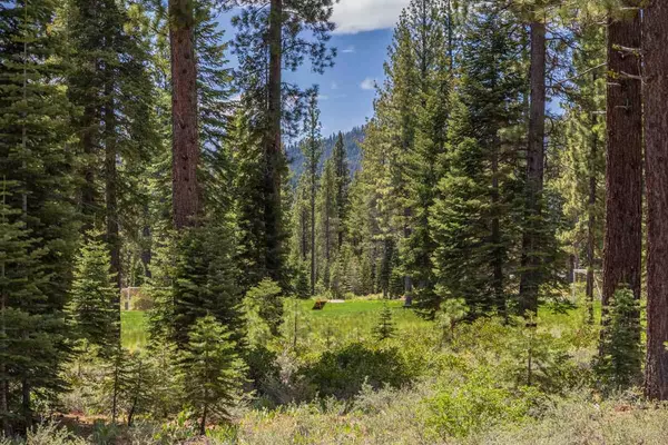 Truckee, CA 96161,8210 Olana Court