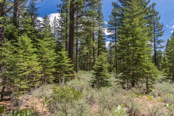 Truckee, CA 96161,8210 Olana Court