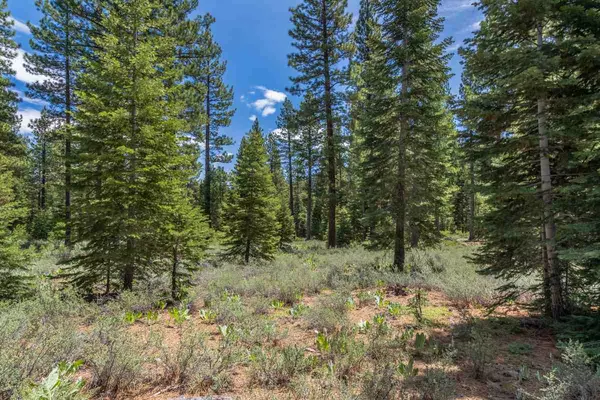 Truckee, CA 96161,8210 Olana Court