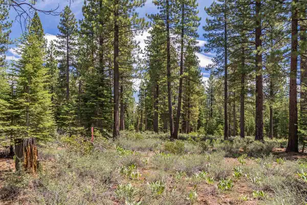 Truckee, CA 96161,8210 Olana Court