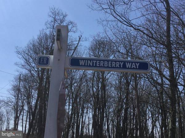 LV LOT 417 WINTERBERRY WAY, Hazle Township, PA 18202