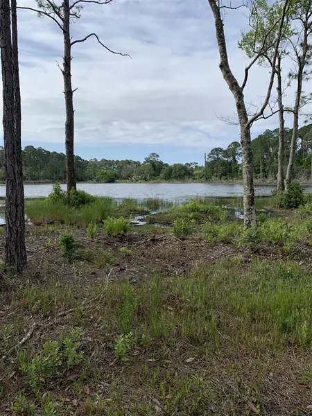 84 Gentleman Road, Ochlockonee Bay, FL 32347-0000